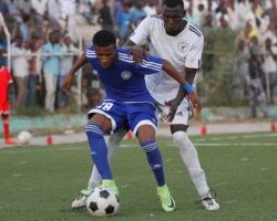 مدني تكرم الهلال