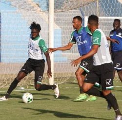 الهلال يكثف من تحضيراته للموسم الجديد
