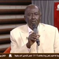 محمد سيف مرشحا للأمانة العامة بقائمة عبد القادر سالم في انتخابات الفنانين