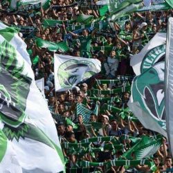 الرجاء البيضاوي يقترب من لقب كأس الاتحاد الإفريقي