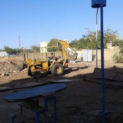 الوزارة الولائية تزيل حلبة الملاكمة بمجمع طلعت فريد .. والاتحاد يشن هجوما علي المجلس