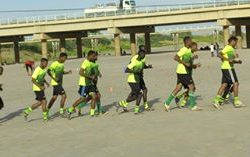 الاموال تنهال على النهضة ام الطيور