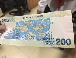 الشرطة تضبط شبكة إجرامية تقوم بتزييف العملة الجديدة فئة (200) جنيه
