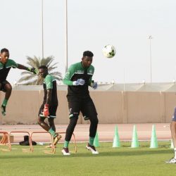جمال وجمعة جينارو يعودان ﻏﺪاً