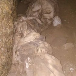 ضبط شبكة تنبش القبور وتسرق الأكفان والعظام لأغراض السحر الأسود