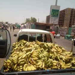 شهد مهيب في أول يوم إفطار بساحة الاعتصام خيم مكيفة، وعربات نقل محملة بالأغذية