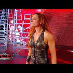 بيكي لينش: كنت أتوسل للمسؤولين في NXT للحصول على فرصة