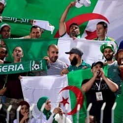 “خاوة خاوة”.. لقطة توحد الجزائريين والمغاربة على أرض مصر