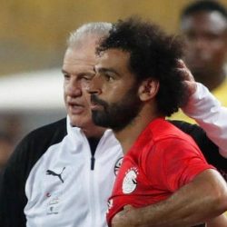 مدرب مصر يحسم وضع حجازي.. وقضية “استبعاد وردة”