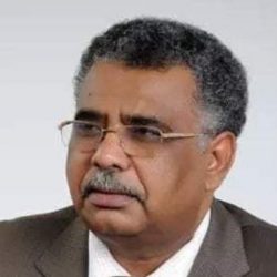 اعتقال محمد عصمت القيادي بالحرية والتغيير بعد خروجه من لقاء رئيس الوزراء الإثيوبي
