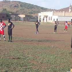 الدورة التنشيطية في الفاو
