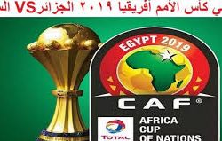 السنغال ضد الجزائر.. 75 مليون جنيه مكافأة بطل امم افريقيا 2019