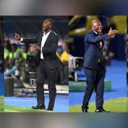 أمم أفريقيا 2019.. البطولة التي تحولت إلى “مقصلة” للمدربين