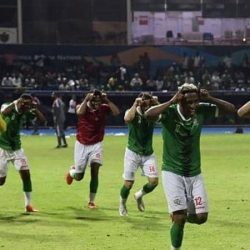 مدغشقر تواصل مفاجآتها وتبلغ ربع نهائي كأس أفريقيا