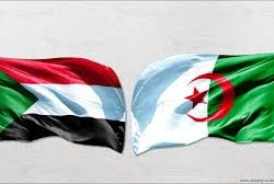 تعاون سوداني جزائري في إعداد المنتخبات الوطنية