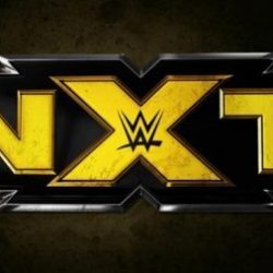 عضو مؤثر في اتحاد WWE يغادر الشركة