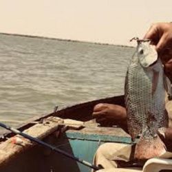 مصرع شابين غرقاً أثناء اصطيادهما أسماك بخور أبوعنجة