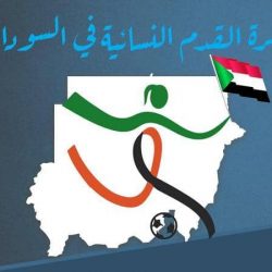 انفوغرافيك.. “كنداكات السودان” في المستطيل الأخضر