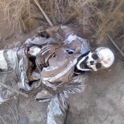 جثة متحللة بشاطئ النيل
