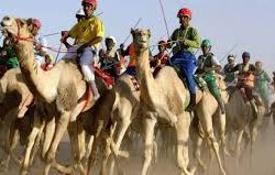 قرار وزاري بحل اتحاد الهجن السوداني