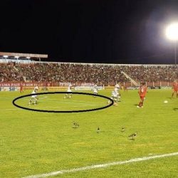 حكم يوقف مباراة بسبب “الخط المزدوج”.. ويأمر بإصلاحه فورا