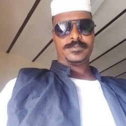 هجوم عنيف على اللجان المساعدة في شندي