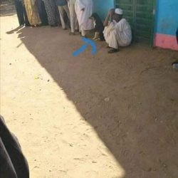 وقوف (كلب) في صفوف العيش