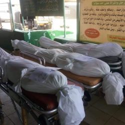 وفاة وإصابة (14) شخصاً إثر احتراق عربة “بوكس” قرب سنجة