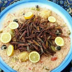 طالب سودانى يفاجئ زملائه بـ “جراد” مشوي على مائدة إفطار