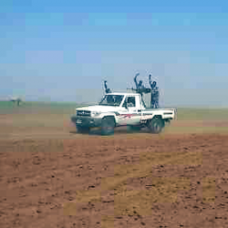 تحرير (١١) فرد من ضحايا الاتجار بالبشر