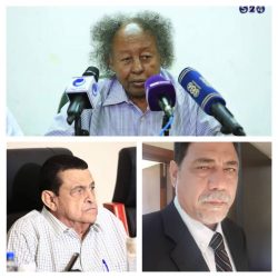 شداد، أبوجبل، وحلمي في فيديو كونفرنس برامج التطوير