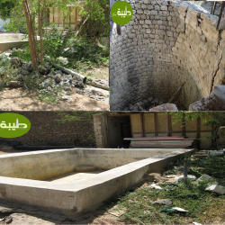 مسجد قباء.. ’’بستان المستظل وبئر عذق ,,  