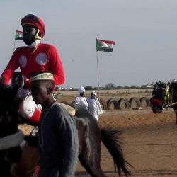 المحكمة تلغي قرار الوزيرة البوشي وتعيد مجلس سباق الخيل للواجهة