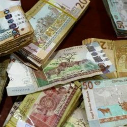 أنباء عن قرار يسن بالسجن لمدة عامين وغرامة تصل بمليار لكل من يرمي العملة السودانية (النقطة) على رأس الفنانات ” قونات” ….