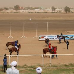 نادي سباق الخيل الخرطوم ينظم سباق الديربي السوداني بنجاح كبير بعد غياب لموسمين والفرس “نينا” تتوح باللقب