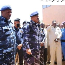 مكافحة المخدرات تفكك شبكةإجرامية   وتضبط بحوزتها عدد(15) الف قندول بنقو جنوبى ام درمان