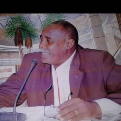 صحيفة كورة سودانية تحاور الأمين العام السابق لهيئة البراعم والشباب والناشئين  كمال ادريس علي :  الوزير ظلمنا ظلم الحسن والحسين …… شوقي خطاب شاهد علي اجتماع الوزير …  الاب الروحي الناشئين………تساموا فوق الجراحات ليعود الجهاز قويا …….  كمال ادريس…….انتخابات الناشئين في عهد هاشم هارون مفبركة ولم تاتي بي للهيئة ….
