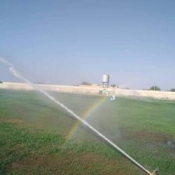 مدير إستاد الحصاحيصا يعد بمعالجة أرضية الملعب