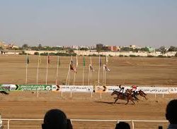 ملاك الخيول في اجتماع عاجل
