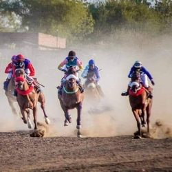 والي جنوب دارفور يسلم نادي البحير لسباق الخيل دعم الولاية للديربي