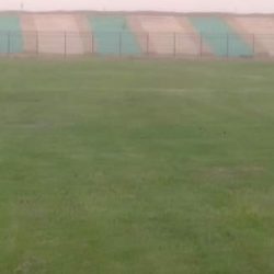 ملعب استاد مدينة شندي يكتسي حلة زاهية من الخضرة والجمال