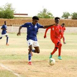 شباب الهلال يكتسح الغماراب بثائية ويعزز صدارته