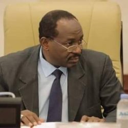 قرار بتعيين ياسر حسين الغول مديرا عاما لمدينة السودان الرياضية