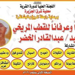 برعاية رابطة المريخ  البشاقرة شرق تستضيف دورة القرية بنسختها الأولى