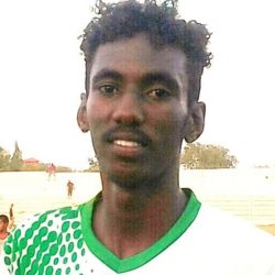 نملة” حارس الجنينة يهدي الفوز للهلال بسنار