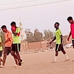 النيل شندي يتعاقد مع الخبير كمال مأمور