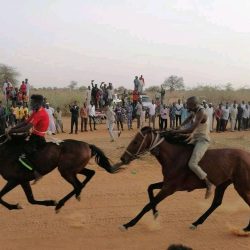 نادي الفروسية بمدينة بابنوسة ينظم سباق الخيل الاول وقناص المجلد يحرز المركز الاول
