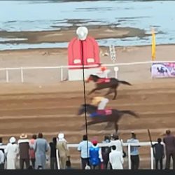 تطورات ومستجدات حول ازمة نادي العاصمة لسباق الخيل..الفوتو فنش يكشف عن فوز اميرال ..والشفيع يصرح : في انتظار قرار لجنة التحقيق ..