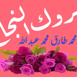 ترليون مبررروك محمد طارق محمد محمد عبد الله