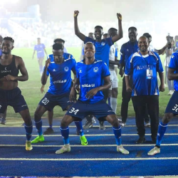 انتصار الهلال على المواقع العربية